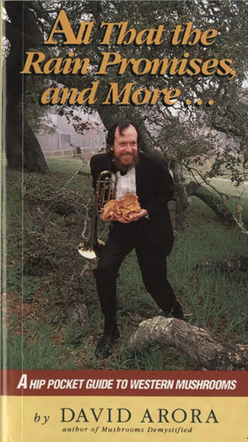 Cover of Fates Worse Than Death An Autobiographical Collage of the 1980s