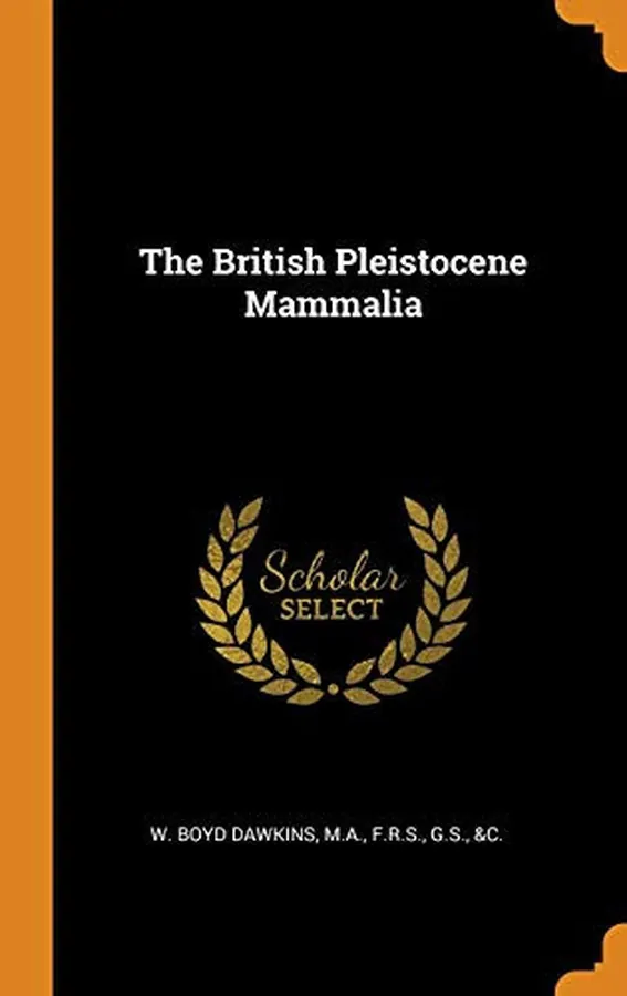 Cover of The British Pleistocene Mammalia
