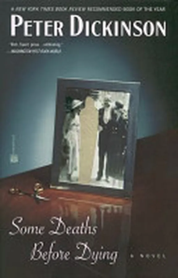 Cover of Some Deaths Before Dying