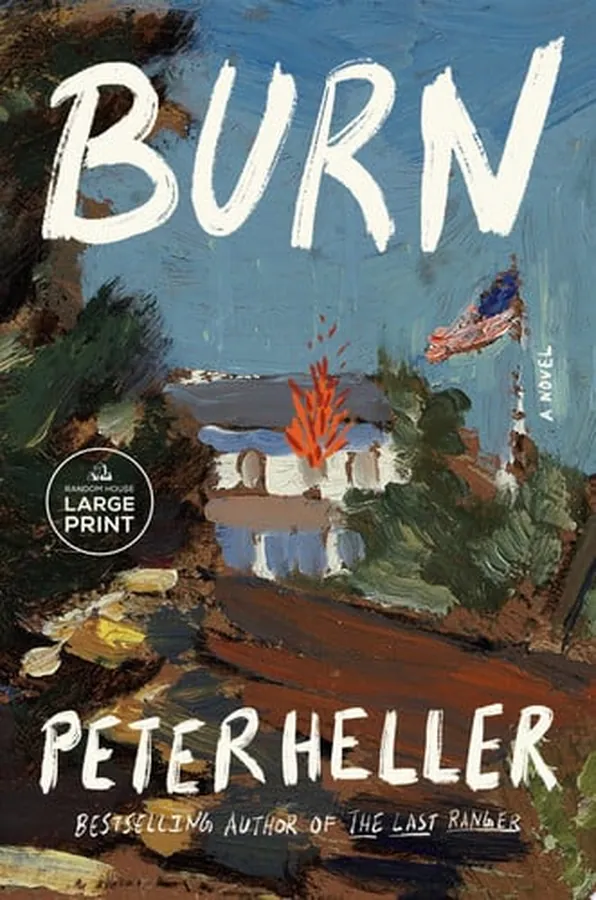 Cover of Burn A novel