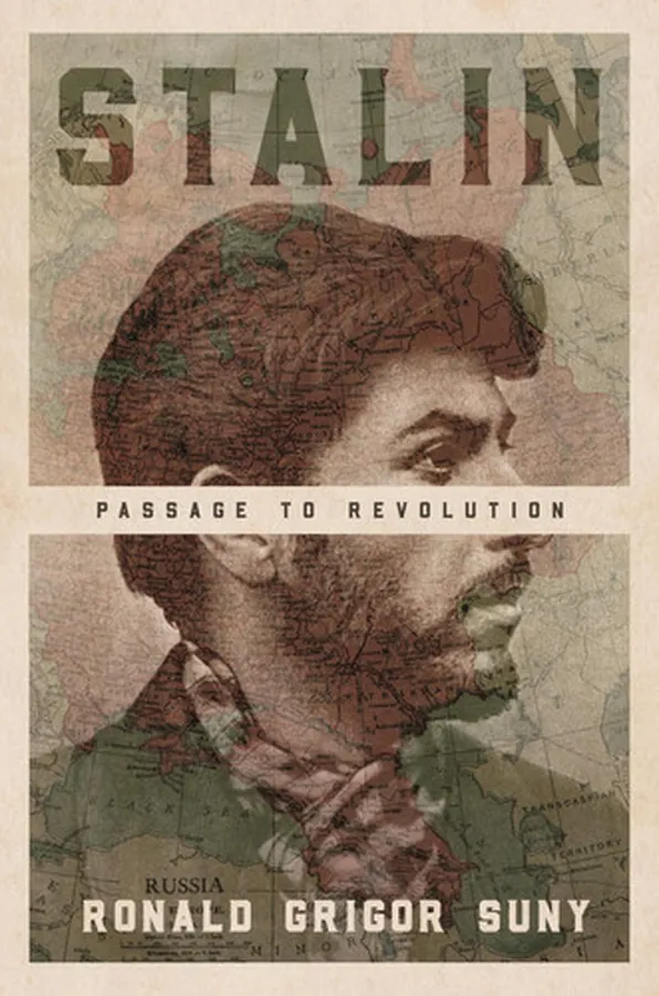 Cover of Stalin Passage to Revolution