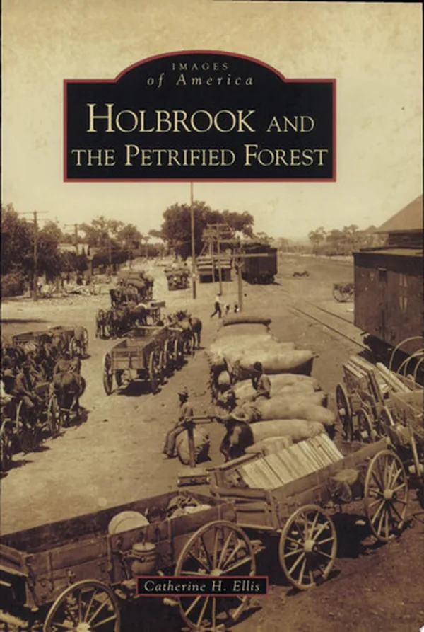 Cover of Holbrook and the Petrified Forest