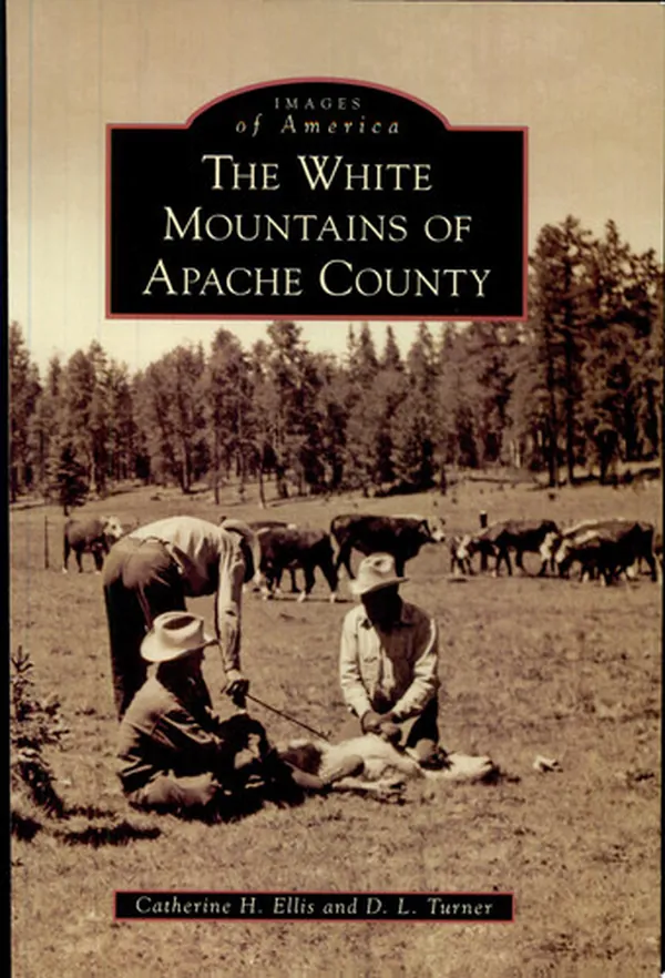 Cover of The White Mountains of Apache County