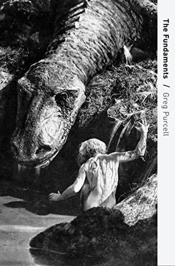 Cover of The Fundaments
