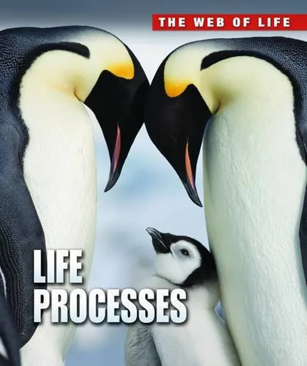 Cover of The Web of Life