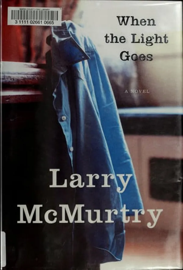 Cover of When the Light Goes A Novel
