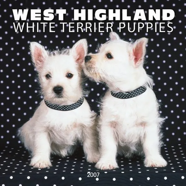 Cover of West Highland White Terrier Puppies 2007 Calendar