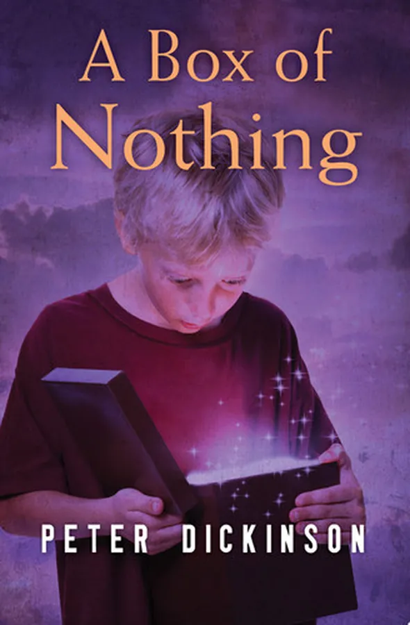 Cover of A Box of Nothing