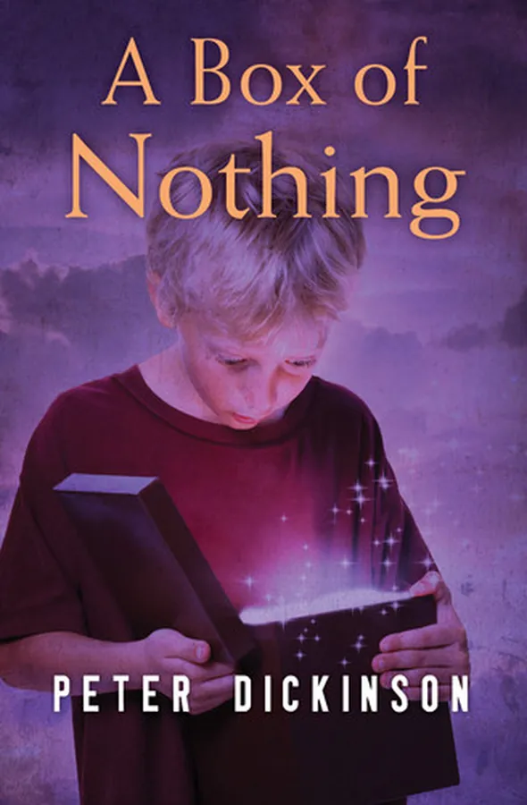 Cover of A Box of Nothing