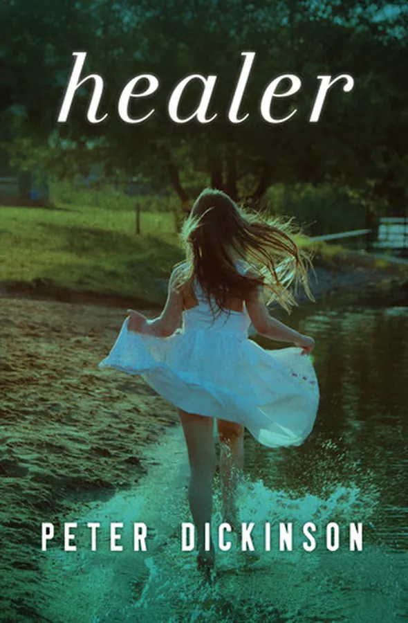 Cover of Healer