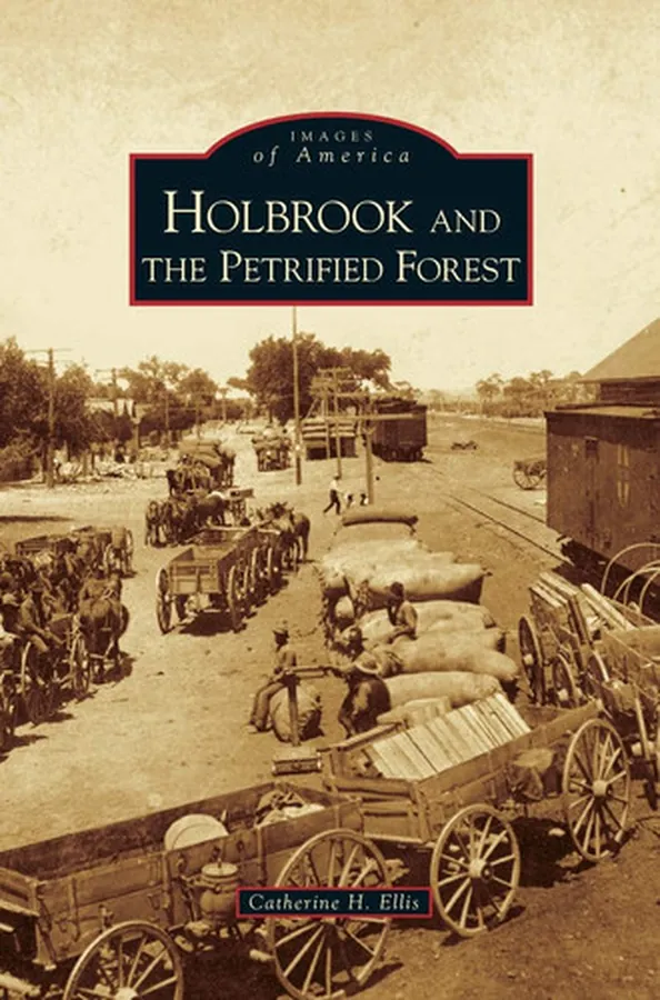 Cover of Holbrook and the Petrified Forest