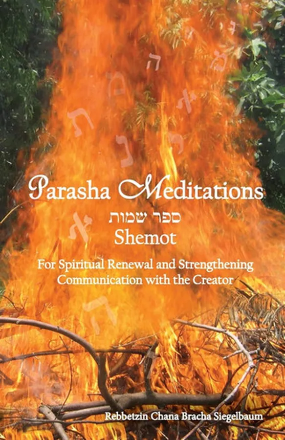 Cover of Parasha Meditations: Shemot - Internalizing Healing Transformation For Spiritual Renewal and Strengthening Communication with the Creator