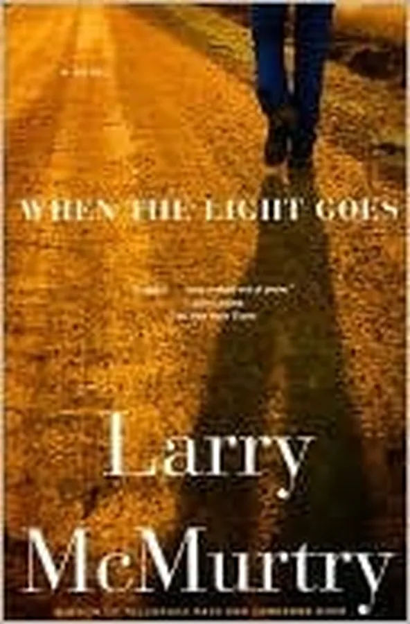 Cover of When the Light Goes