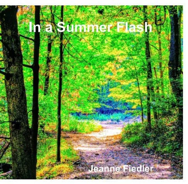 Cover of In a Summer Flash