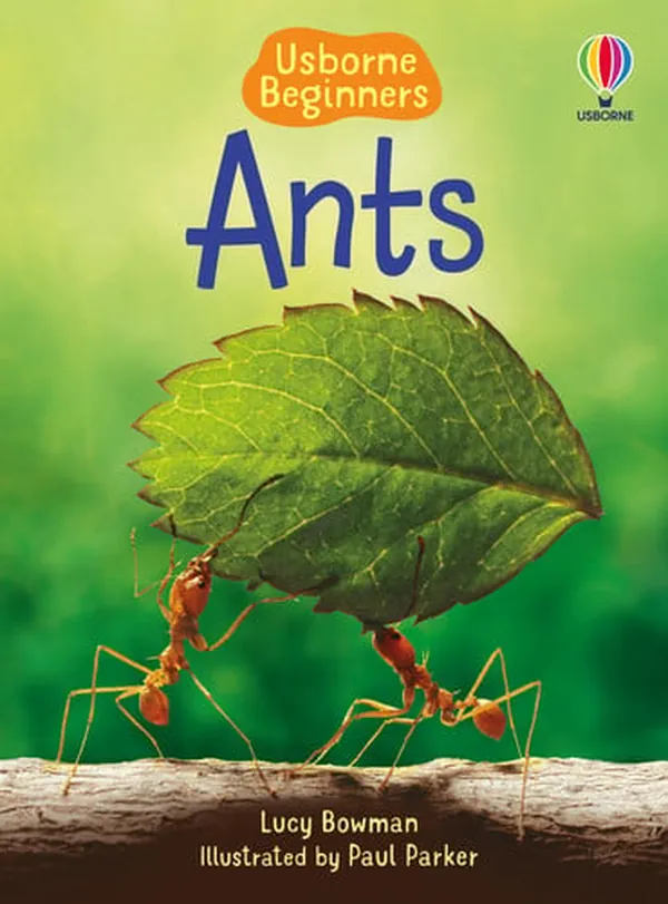 Cover of Ants (Usborne Beginners)