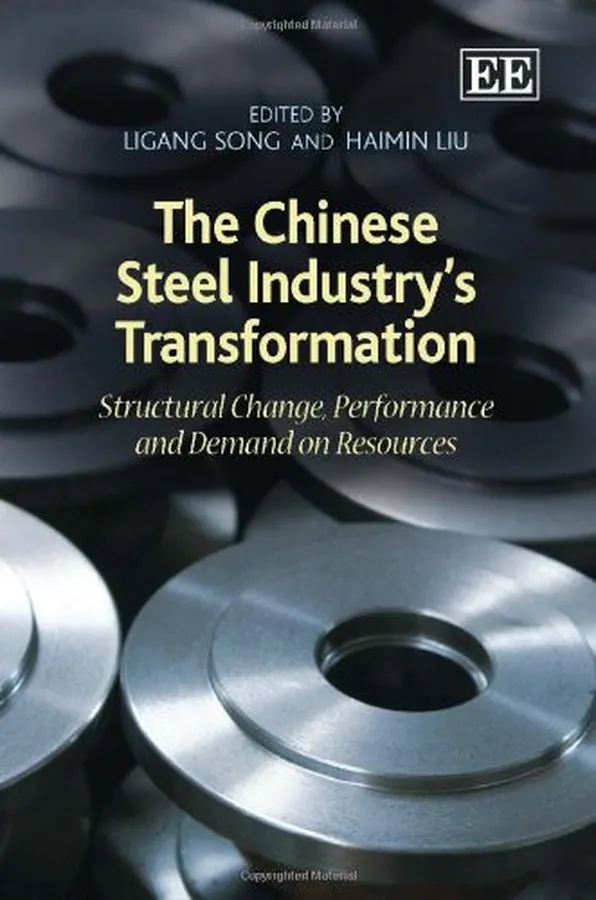 Cover of The Chinese Steel Industry's Transformation Structural Change, Performance and Demand on Resources