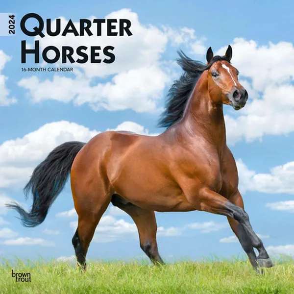 Cover of Calendario de Pared: Quarter Horses 2024 SQUARE- BROWNTROUT