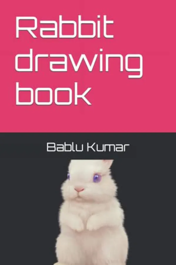 Cover of Rabbit drawing book