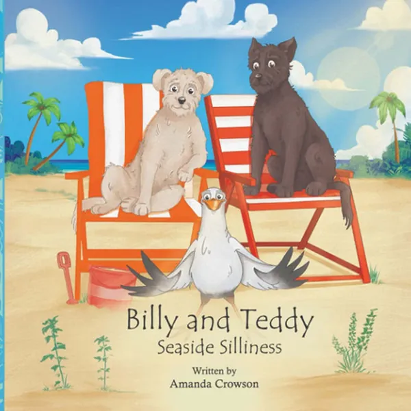 Cover of Billy and Teddy Seaside Silliness (Billy and Teddy's Travels & Tales)