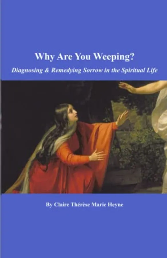 Cover of Why Are You Weeping? Diagnosing & Remedying Sorrow in the Spiritual Life