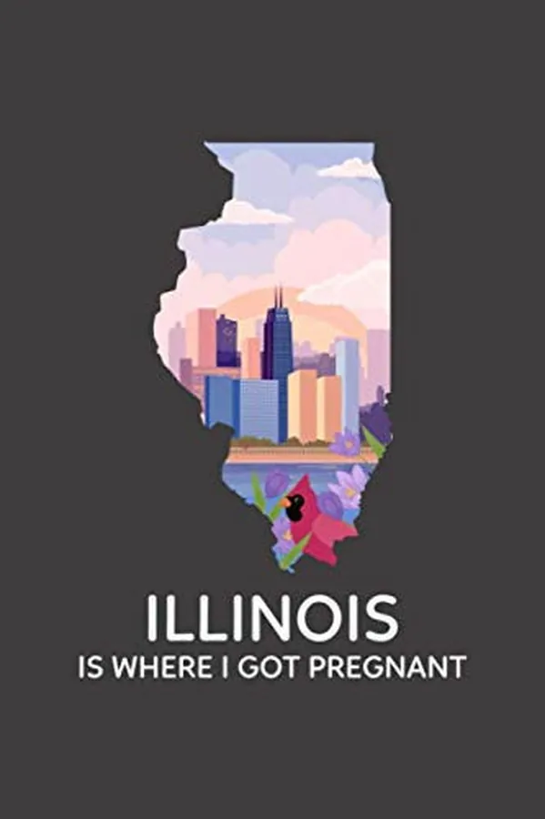 Cover of Illinois Is Where I Got Pregnant: Blank Lined Journal | Office Notebook | Writing Creativity | Meeting Notes