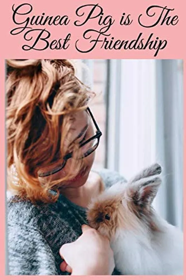 Cover of Guinea Pig is The Best Friendship: Show your friends how much you appreciate them with this funny journal Notebook