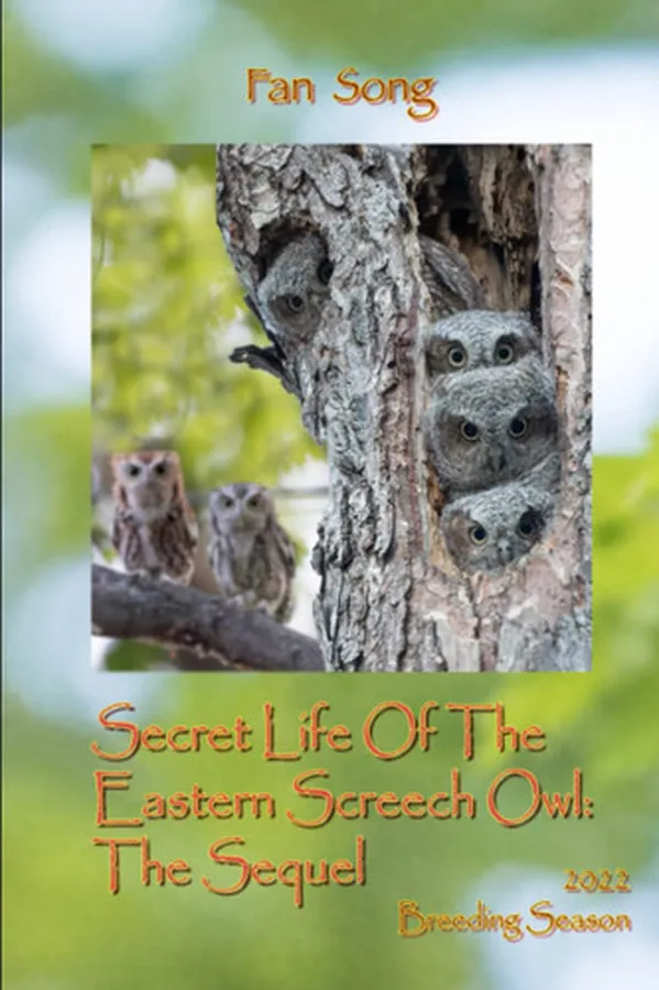 Cover of The Sequel Secret Life Of The Eastern Screech Owls Breeding Season 2022